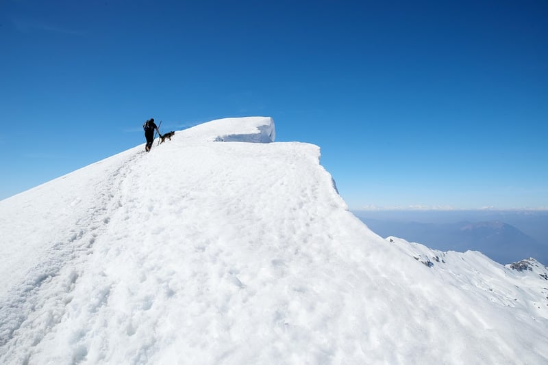 Volcano Climbs